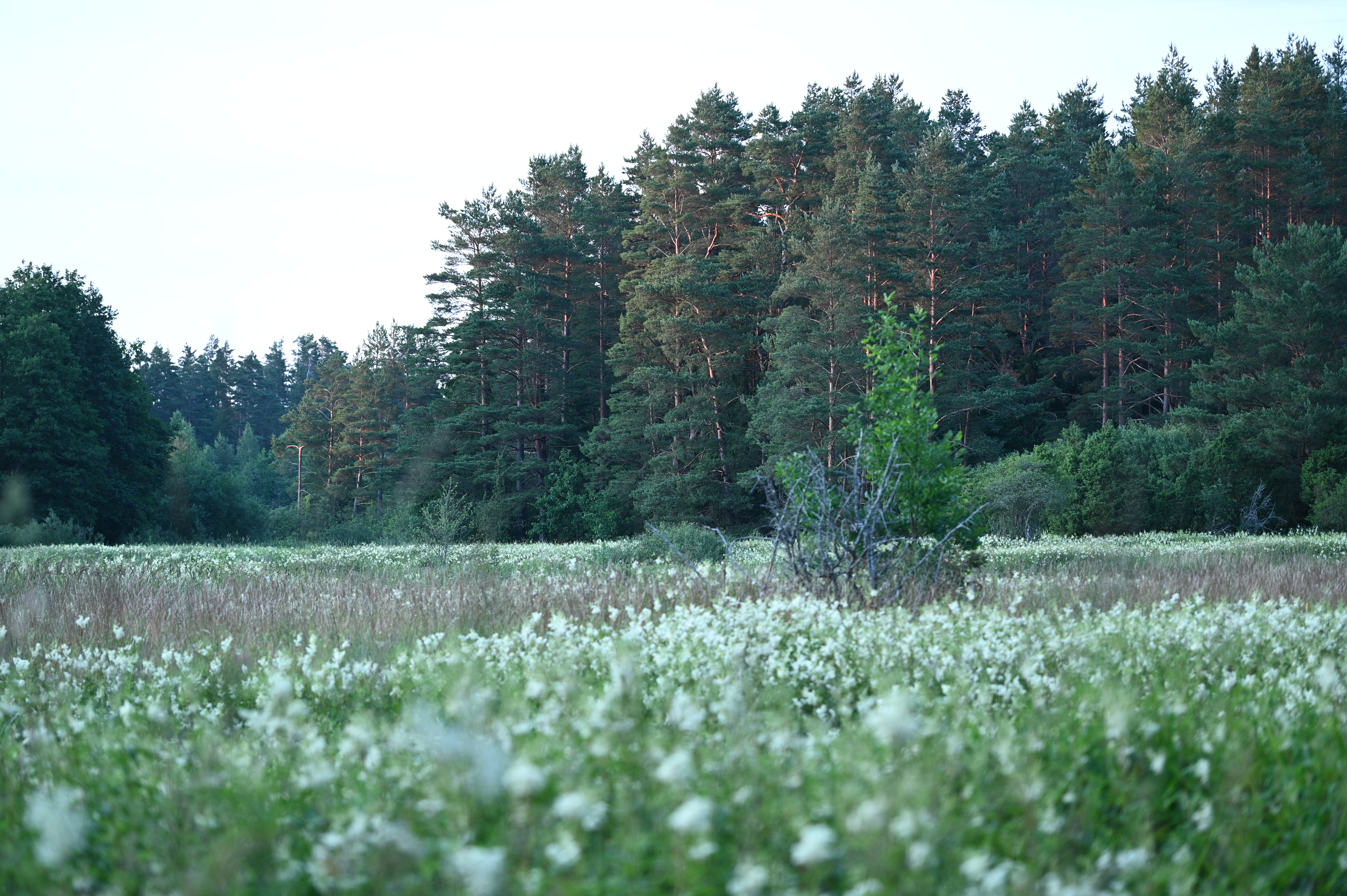 2025/07/09-14 - trip/DSC_0094.JPG